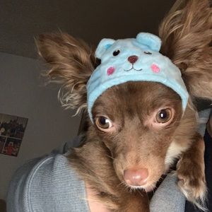 Meet your Posher, Vero